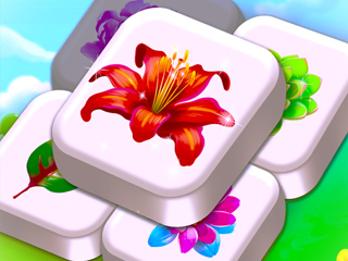 ndri Online Games